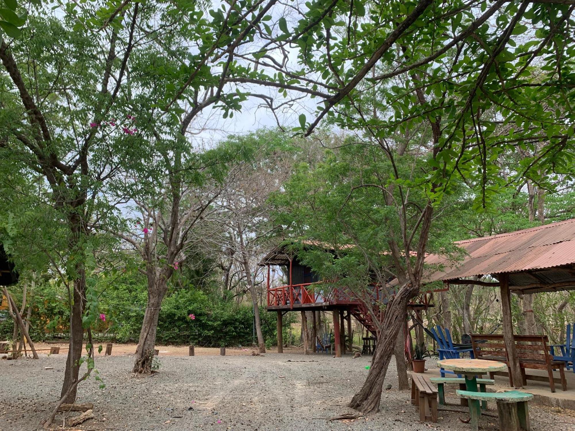 Nieves Surf Hostel And Camping Playa Avellana Exterior foto
